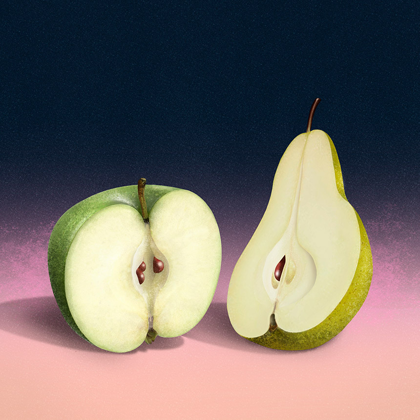 An apple and a bear (Cover of the UZH Magazin)