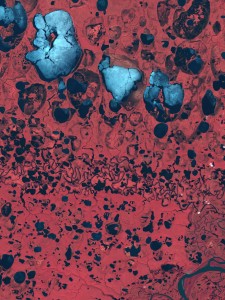 Color infrared composite based on a subset of a Landsat 8 scene recorded on July 5, 2013 (Data:USGS).