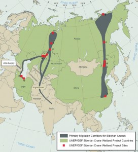 Project Map Migratory routes Siberian Crane & project sites (site 7 is the Kytalyk site) (Map: http://www.thegef.org).