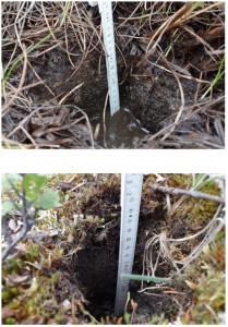 Soil sampling at the selected plots (Photos: M. Iturrate, 2013)