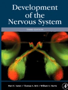 Nervous system_Sanes