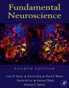 Neuroscience_Squire