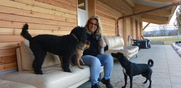 Beruflich auf den Hund gekommen - Erfahrungen einer Hundephysiotherapeutin und Hundetrainerin
