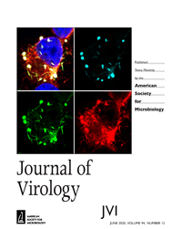 2020 Cover Page Journal of Virology