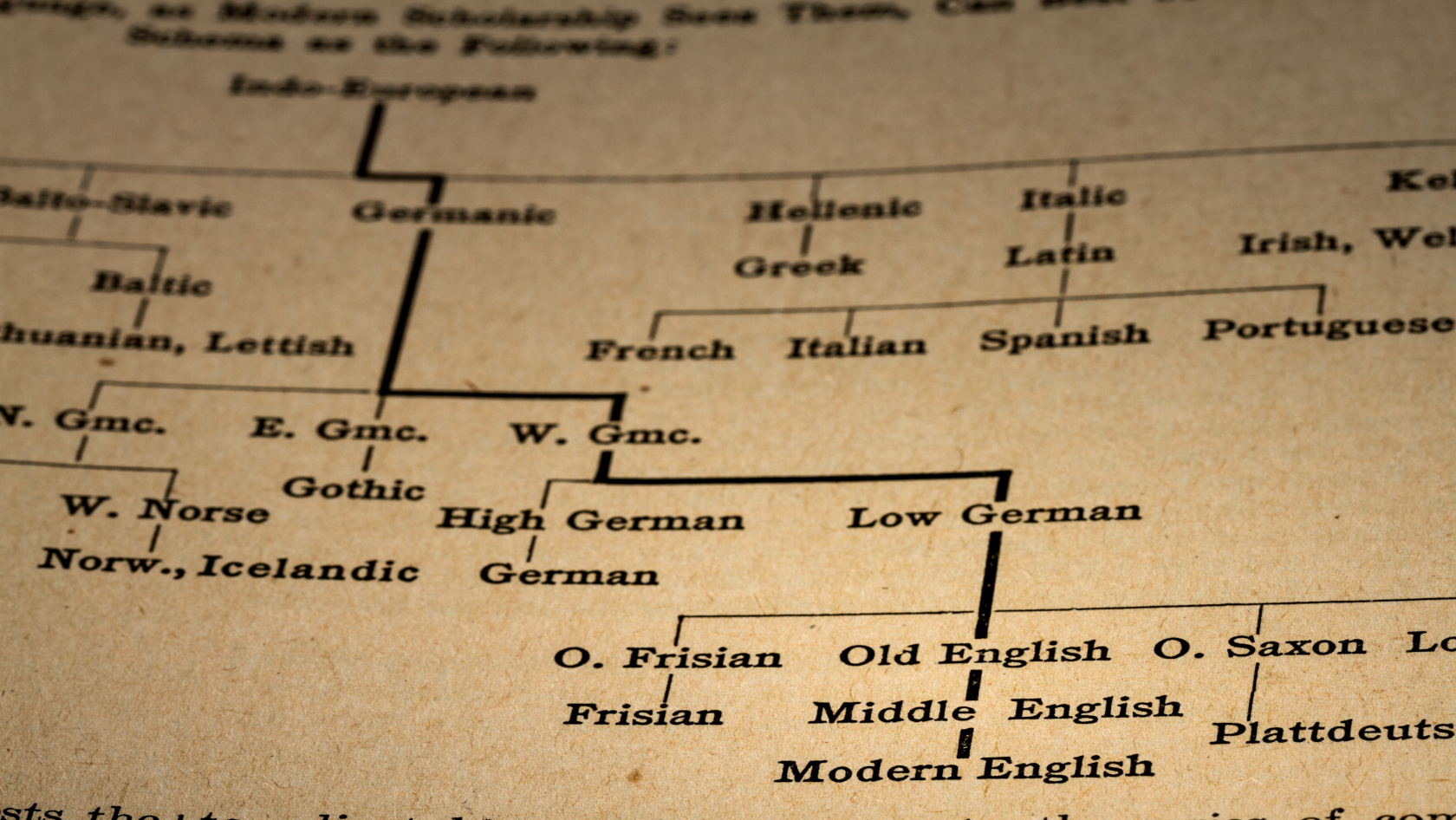 Grafik Sprachen Stammbaum