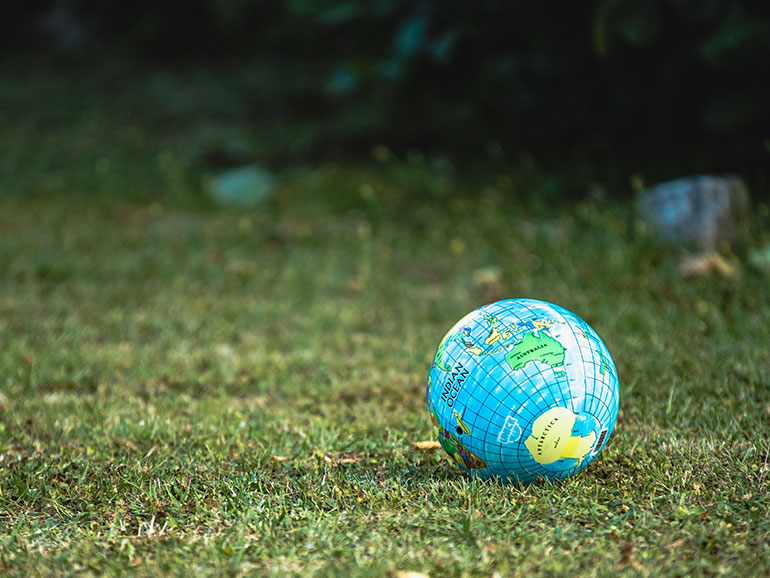 World ball on grass