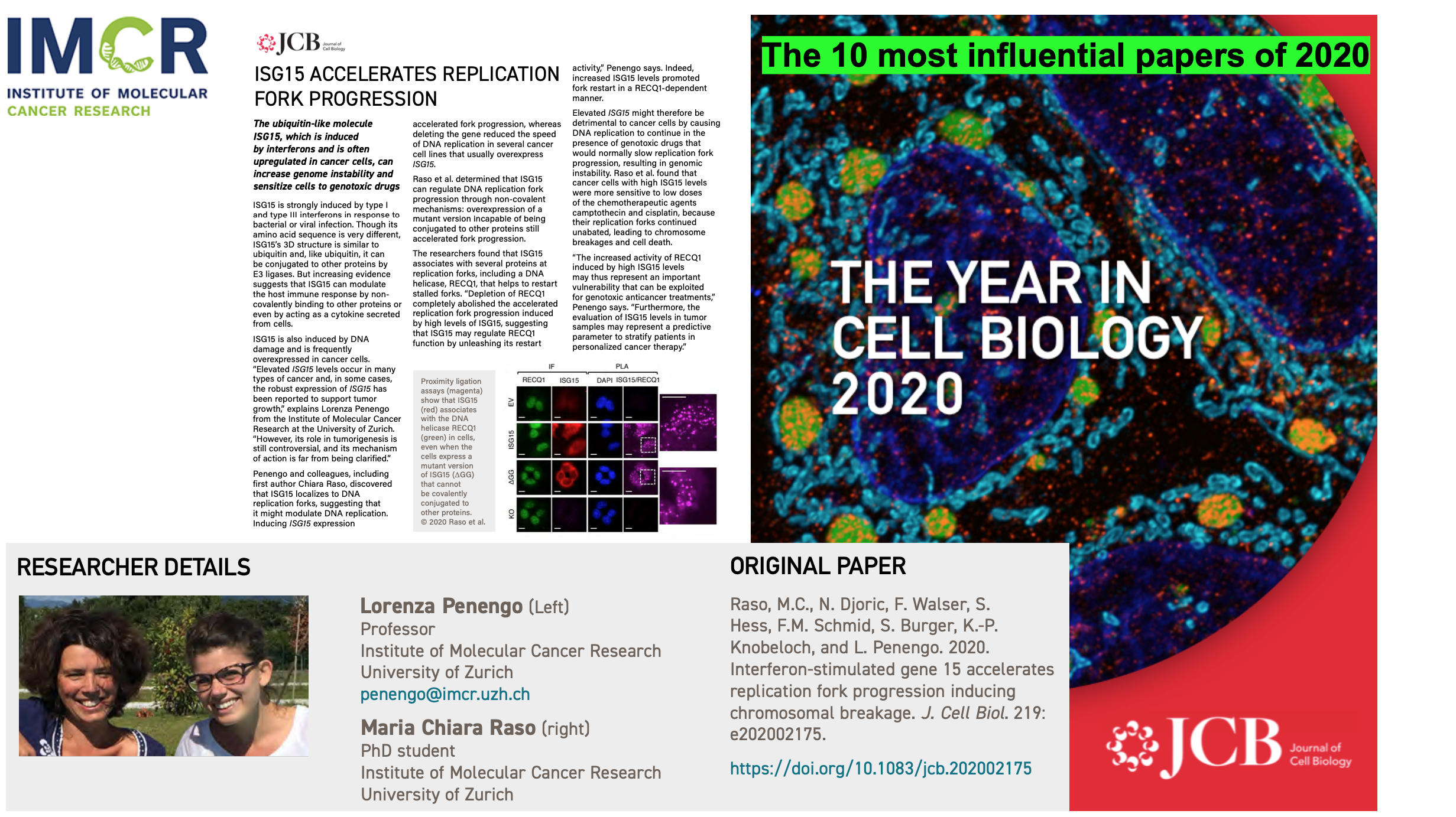 10 most influential papers in 2020