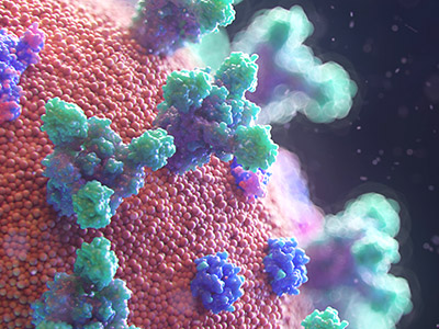 Visualisierung des neuen Coronavirus