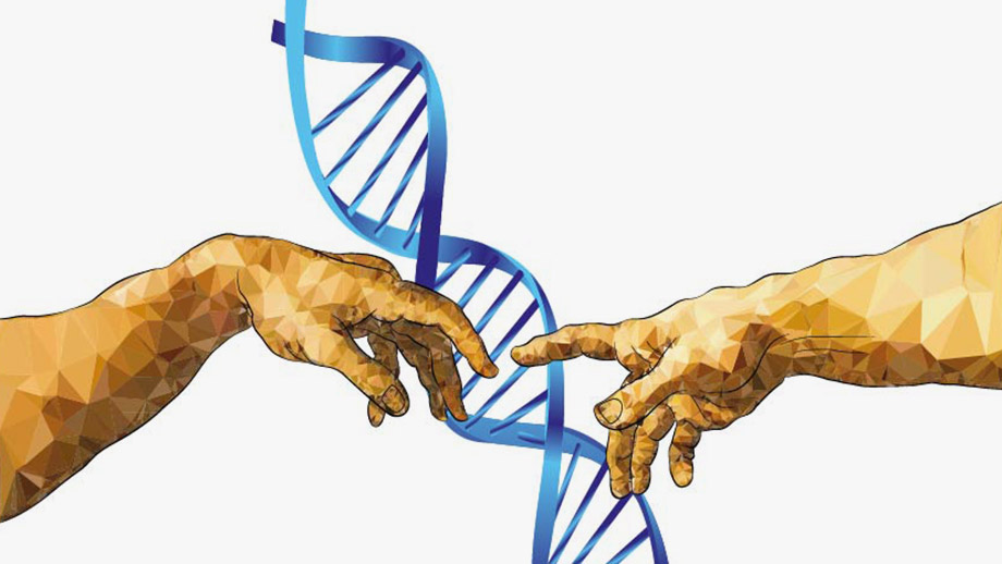 Menschenhände und DNA-Helix (Grafik)