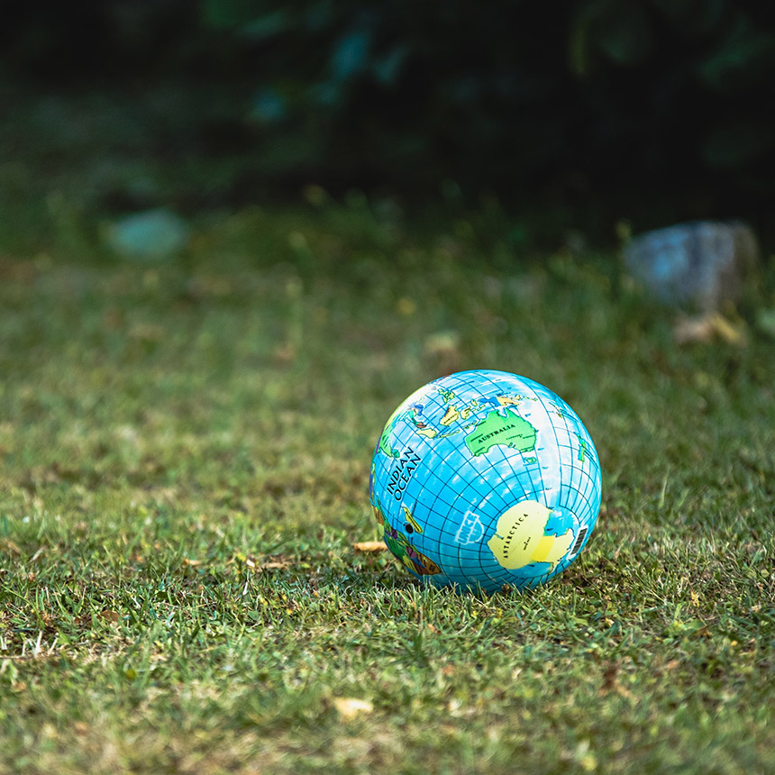 World ball on grass