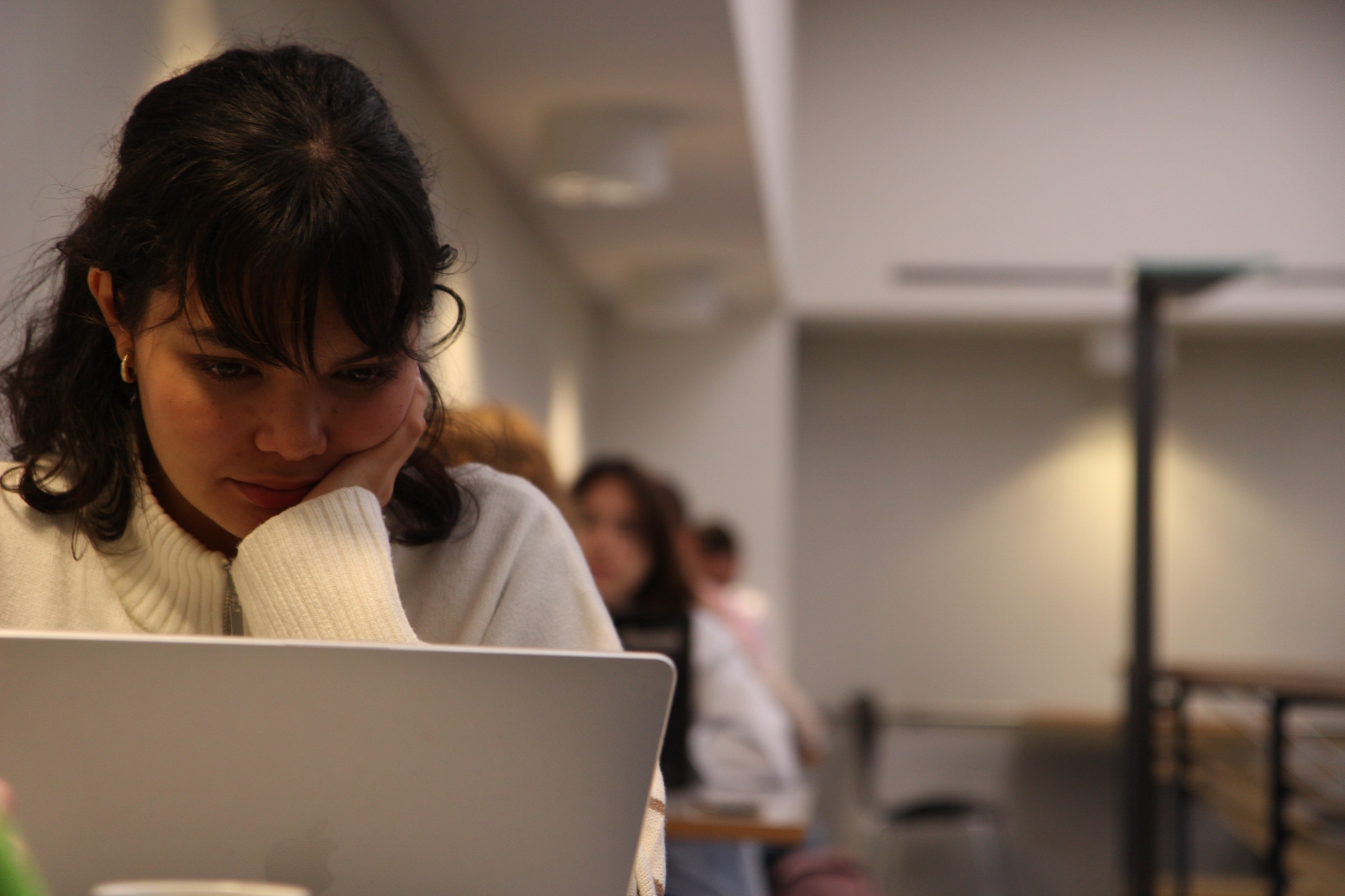 Das Bild zeigt eine Studentin, die konzentriert auf ihren Laptop blickt.