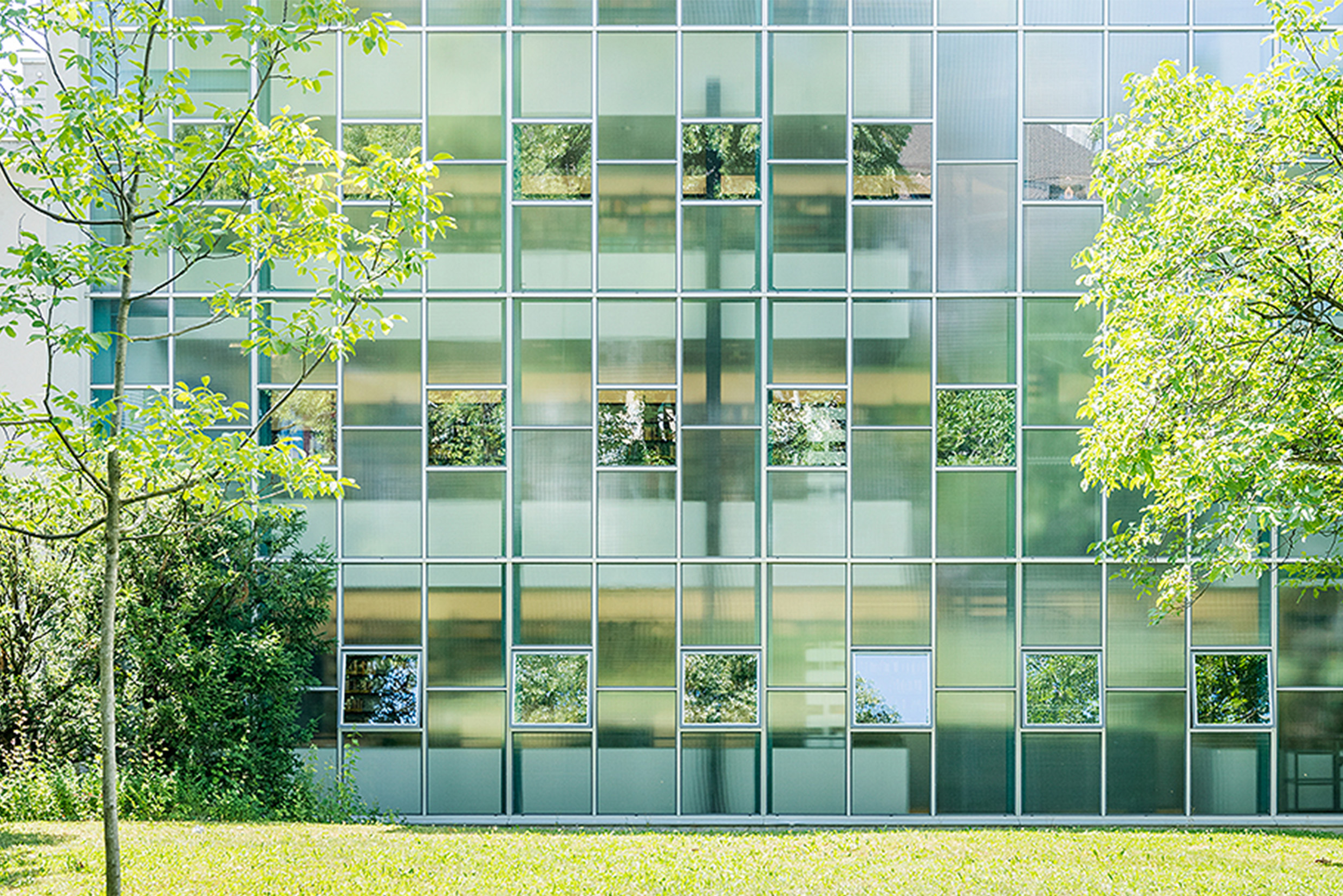 Das Bild zeigt die grosse Glasfront der Bibliothek am Deutschen Seminar. Links und rechts stehen grüne Bäume, davor liegt eine saftige Wiese.