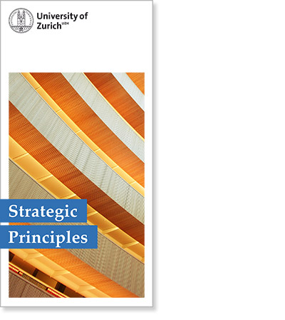 Strategic Principles (Cover)