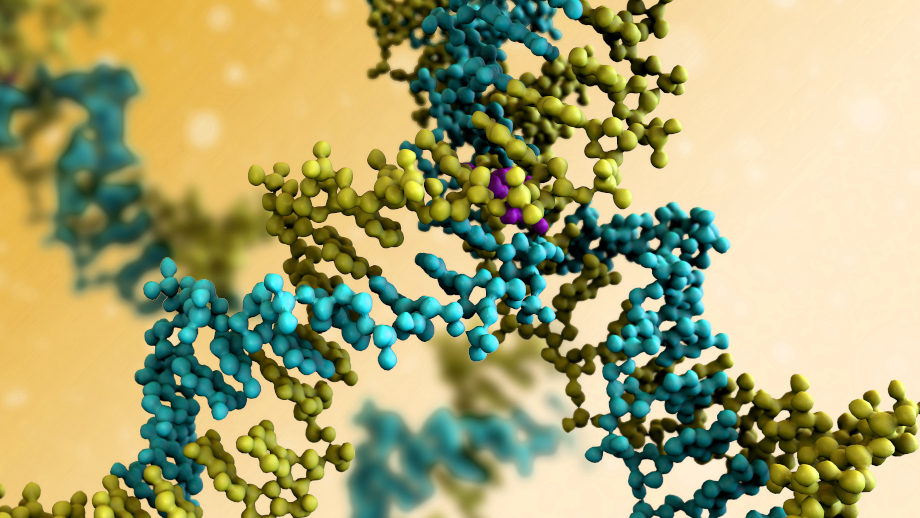 Grafik Proteine DNA