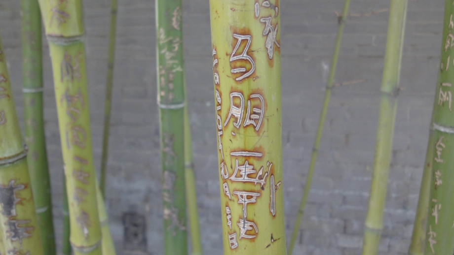 Grafik Chinesische Symbole auf Bambus