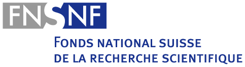 SNF Logo 