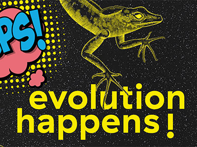 Visual "evolution happens!"