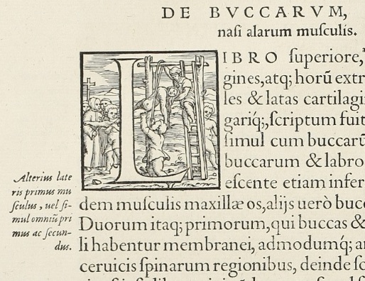 Initiale aus: Andreae Vesalii Bruxellensis suorum de Humani corporis fabrica librorum Epitome, Basileæ, ex Officina Ioannis Oporini, Anno MDXLIII.
