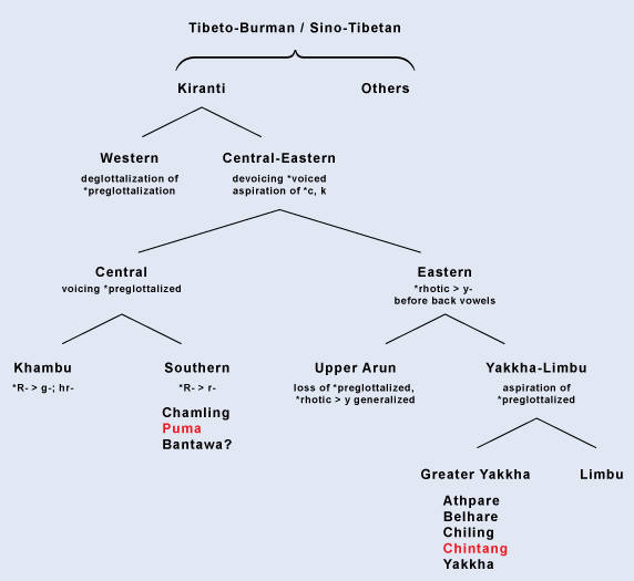The Sino-Tibetan Family of Languages