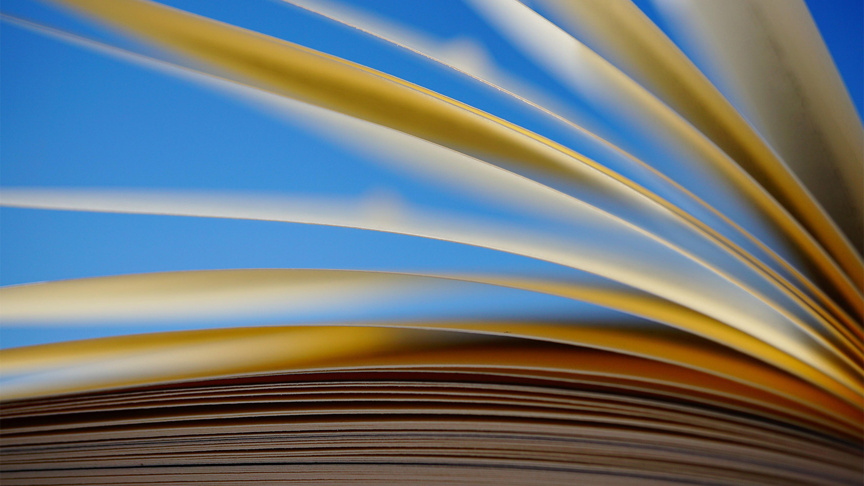 A book open in profile