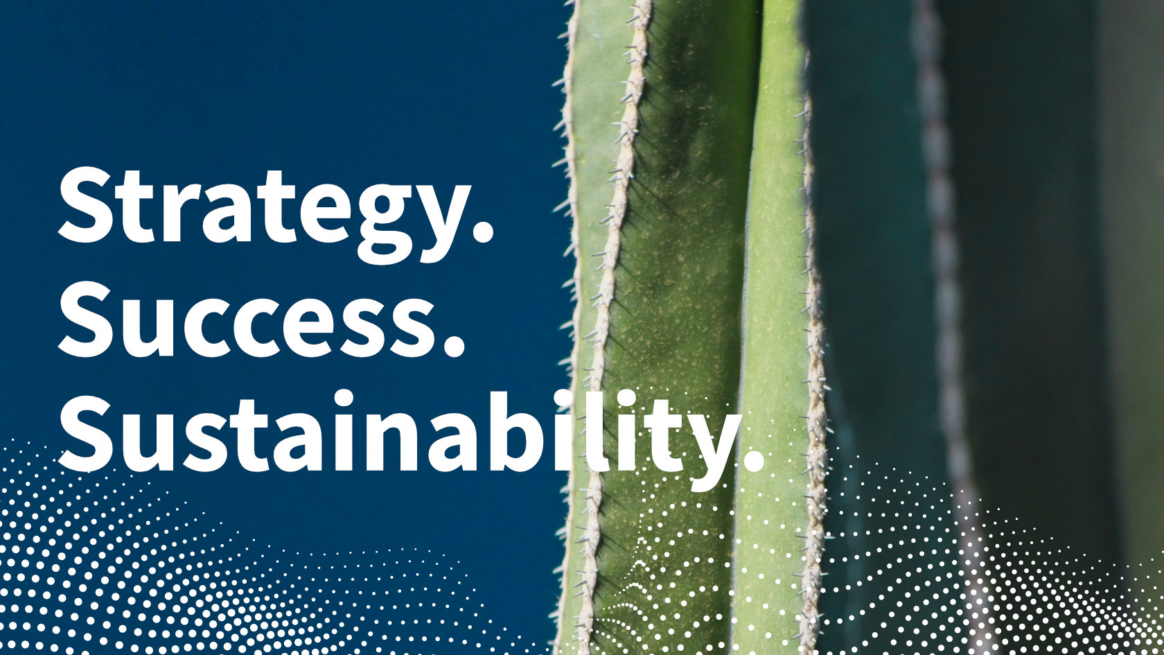 Grafik Studierende Sustainable Finance