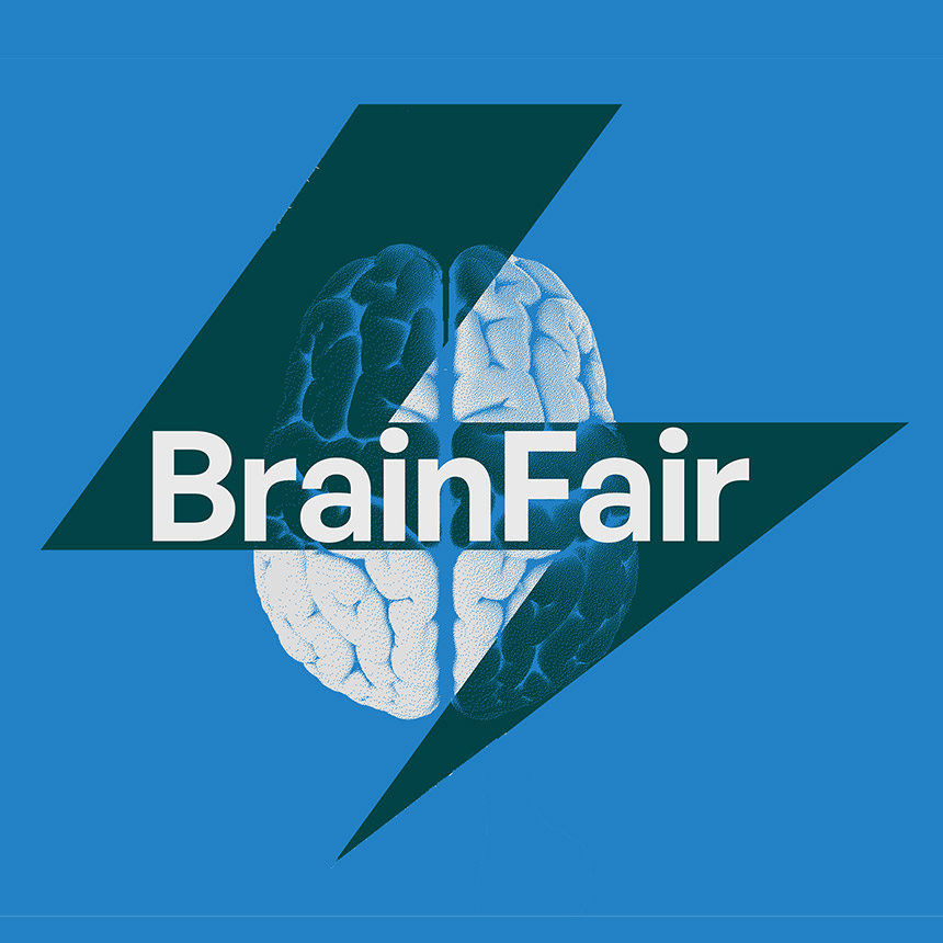 Twenty Years of Progress in Brain Research