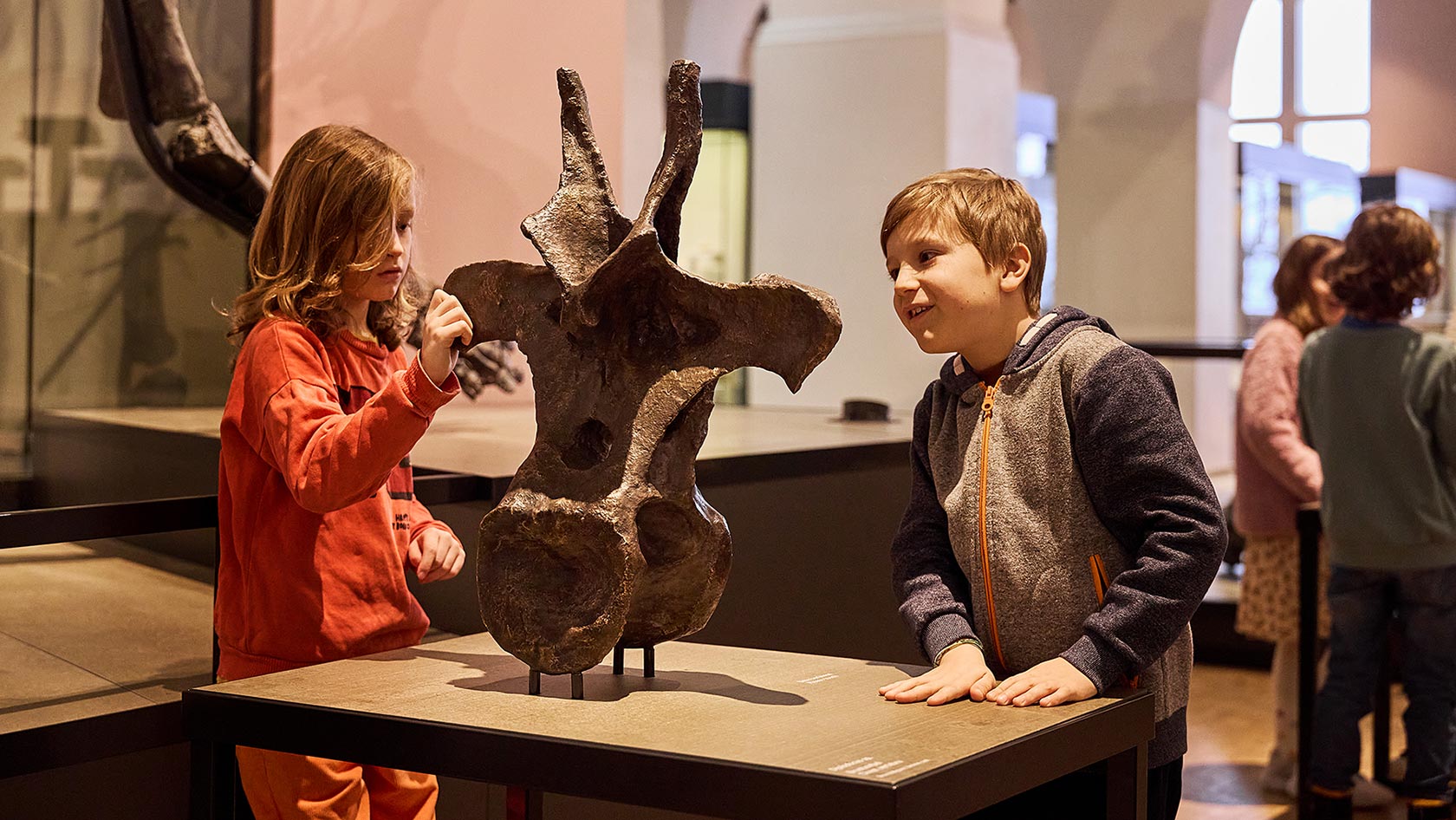 Führung im  Naturhistorischen Museum