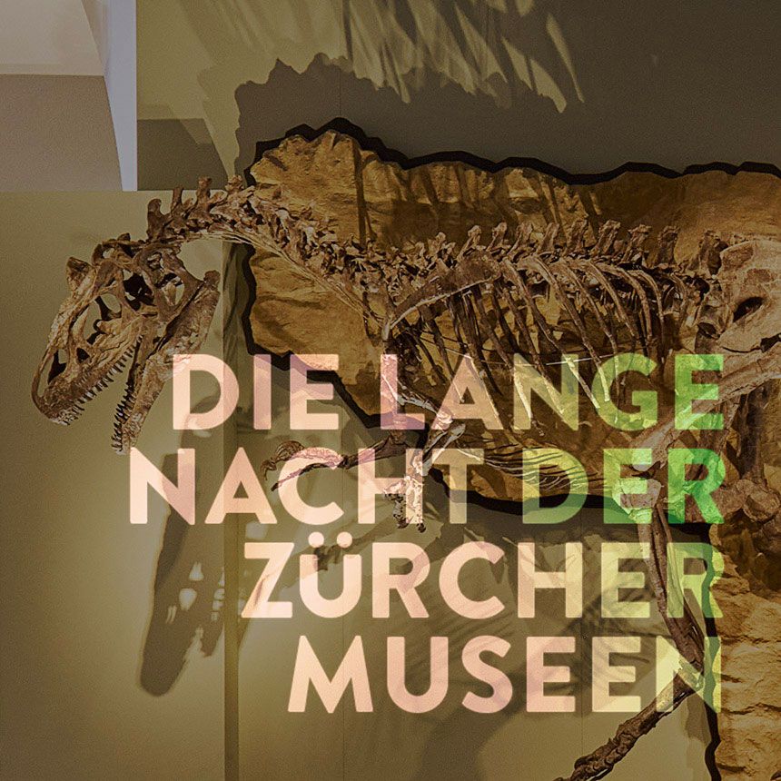 Dinosaurier-Skelett mit "Lange-Nacht-Visual"