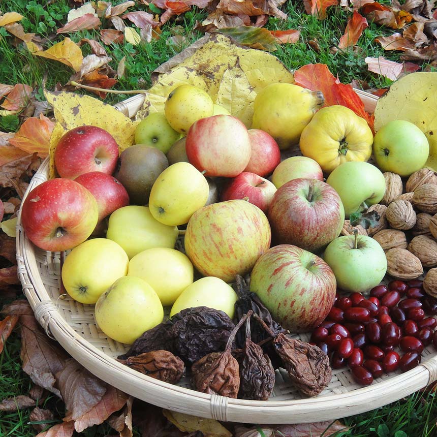 Apples, pears, nuts