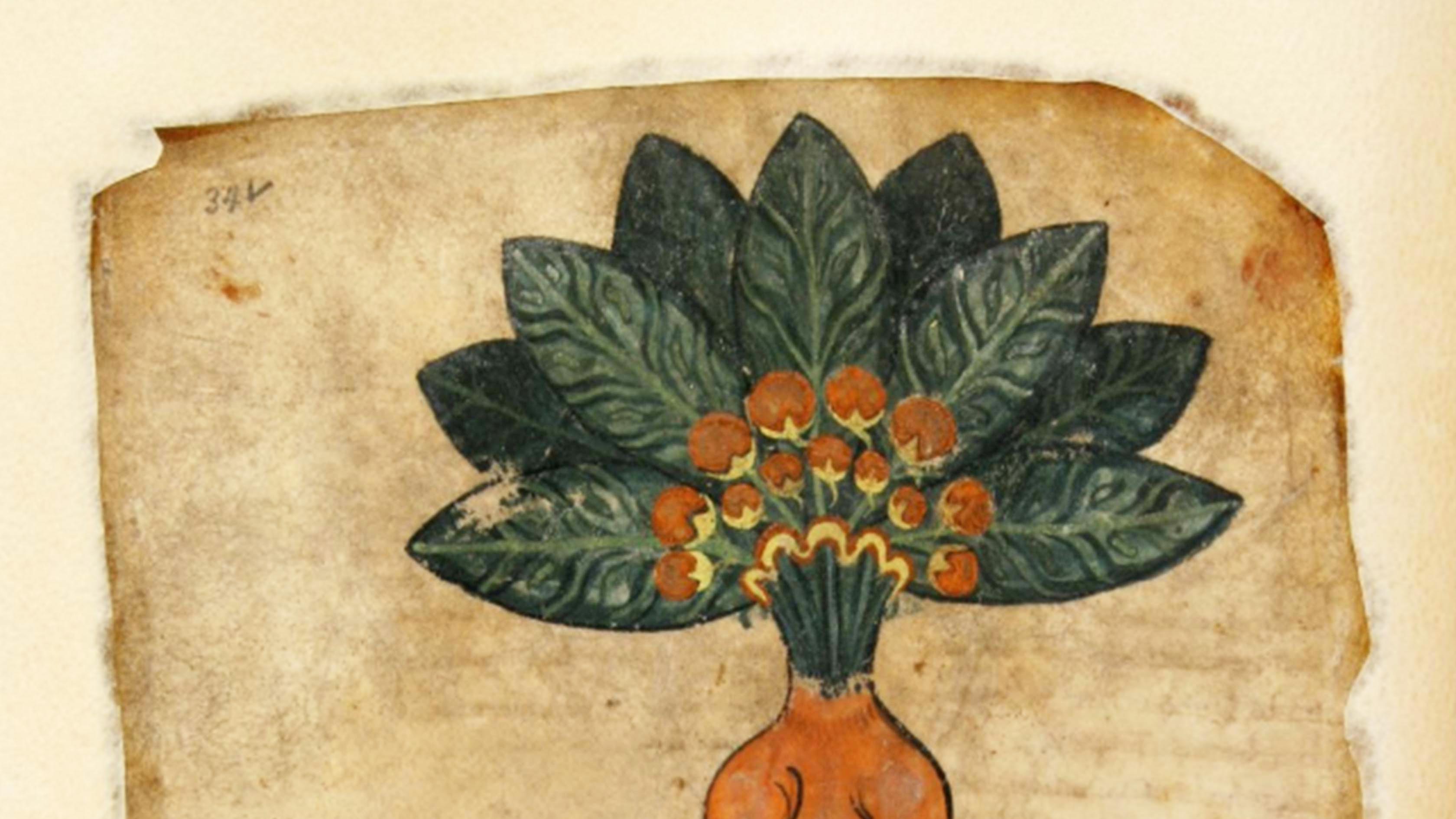 Pseudo-Apuleius: De herbarum medicaminibus