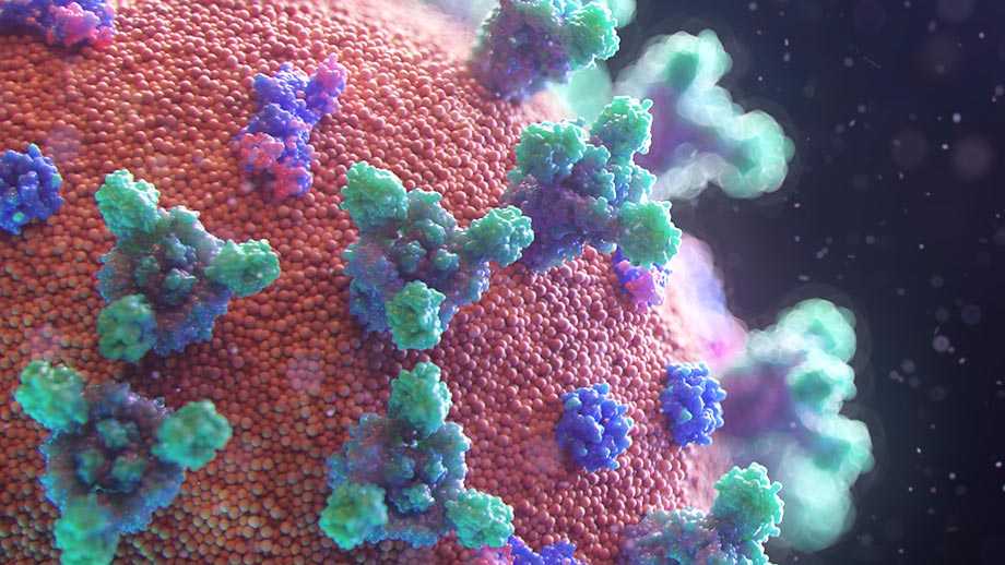 Visualisierung des neuen Coronavirus