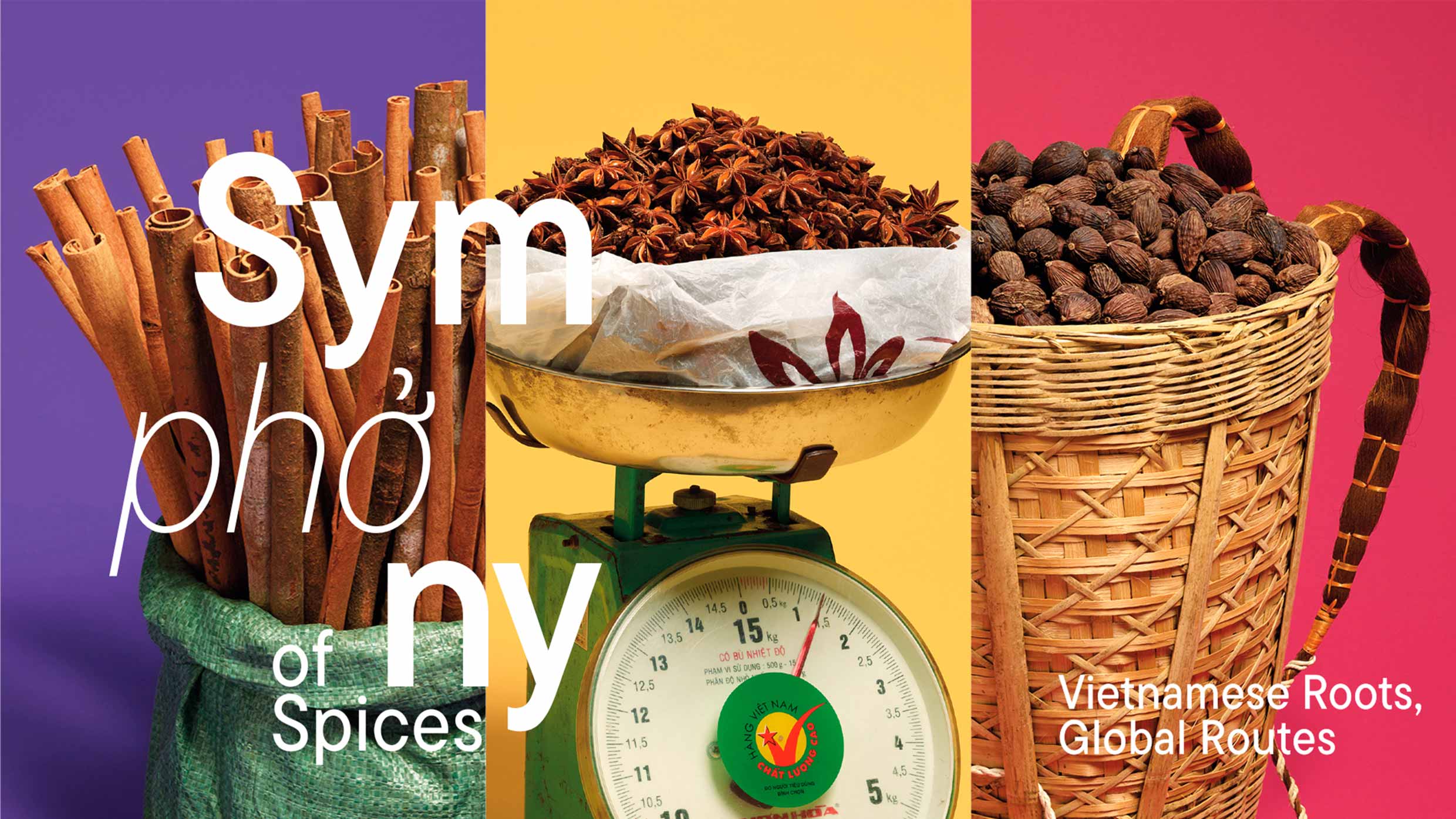 Visual of the exhibition: Cinnamon, star anise and cardamom