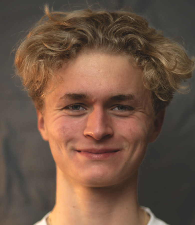 Schülerstudent Merlin