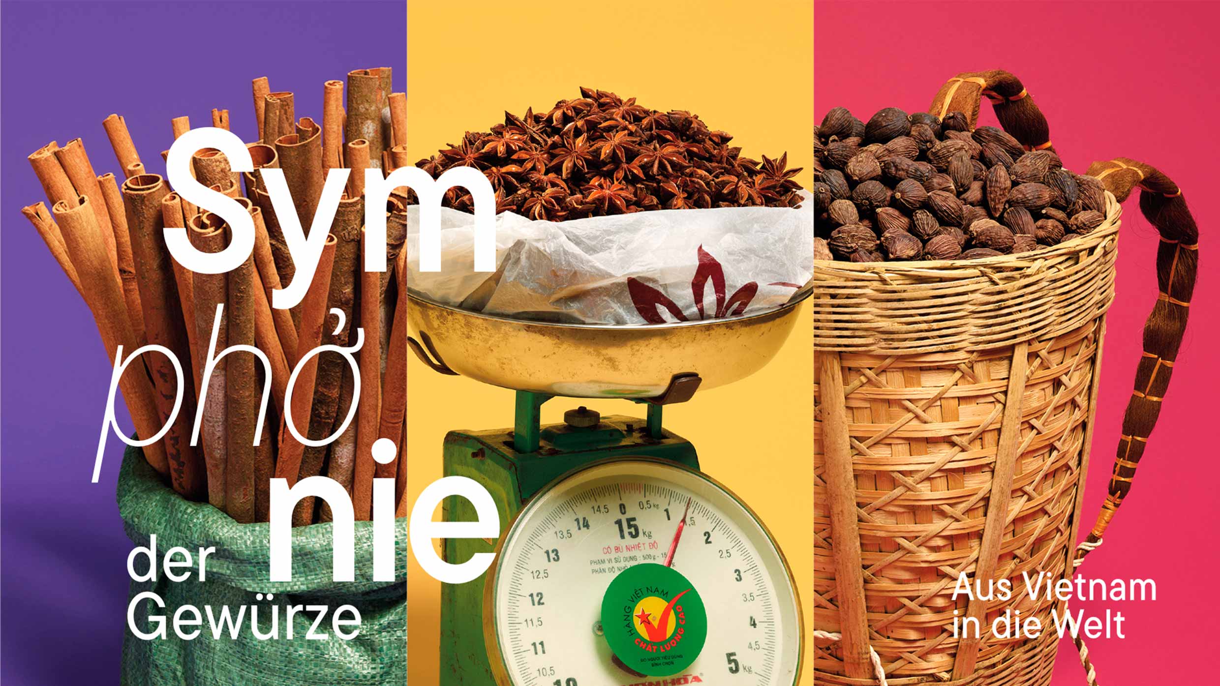 Visual der Ausstellung: Zimt, Sternanis und Kardamom